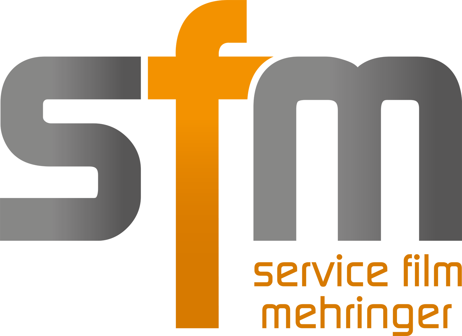 sfm | Service Film Mehringer